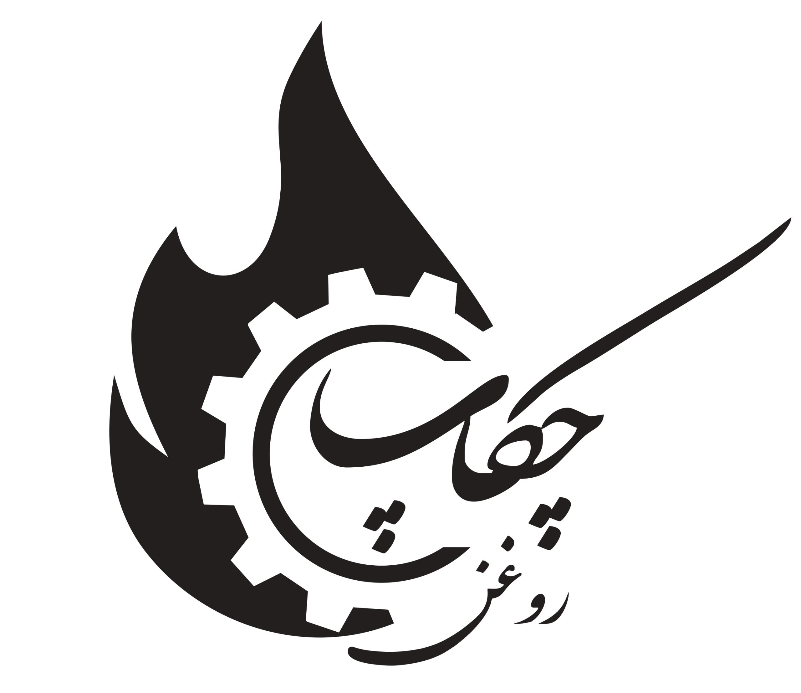 وبسایت روغن چکاپ